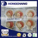 Frozen Half Shell Scallop Roe on thumbnail-1