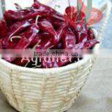 Chinese Dried Chili/chili Peppers,American Red Chili thumbnail-6