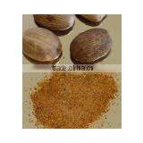 Nutmeg Ground thumbnail-1