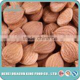 Premium Raw Bitter Apricot Kernels Similar to Califonia Almonds Bulk From China thumbnail-6