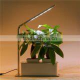 Solar Flower Light Lamp thumbnail-1