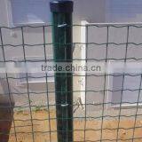 Green Pvc Coated Welded Holland Wire Mesh thumbnail-6