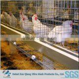 H Type 120 Layers Chicken Cage Laying Hens thumbnail-1
