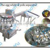 Egg Peeling Machine 10000pcs/h on Bakery Exhibition thumbnail-1