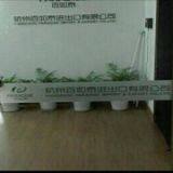 Hangzhou Paradise Import company overview - view 1 thumbnail