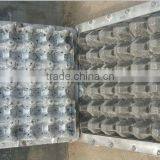 Plastic Egg Tray Mold thumbnail-3