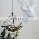 2016 Best Selling Tabletop Succulent Planter/Faceted Geometric Terrarium/Terrarium Box thumbnail-1