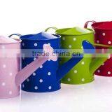 5L Colorful Garden Metal Watering Can thumbnail-1