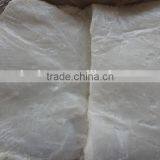 Frozen Giant Squid Fillet