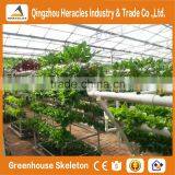 Heracles Commercial Idustrial Hydroponic Systems For PC Greenhouse /Vegetable Greenhouse thumbnail-2