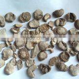 Fritillary Bulb/Zhe Bei Mu/Thunberg Fritillary Bulb/Chinese Herbs Factory thumbnail-1