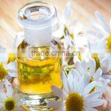 Pure Chamomile Oil thumbnail-4