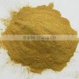 GARCINIA CAMBOGIA EXTRACT thumbnail-2