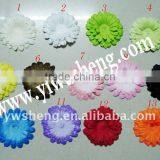 The Color Chart of the Flower-9 thumbnail-1