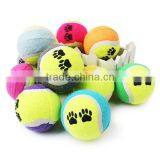 Dog Tennis Ball thumbnail-1