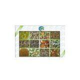 Dog Snacks Machinery thumbnail-1