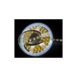 3528 Led Flex Strip /5050 Waterproof Rgb Smd Ribbon /led Rope Light thumbnail-3