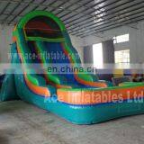 Best Quality Cheap Giant Inflatable Wet&dry Slide for Sale