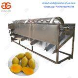 Hot Sale Mangoes Sorting Machine/Stainless Steel Mango Sorting Machine/Automatic Mango Sorting Machine thumbnail-2