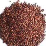 Top Quality Water SolubleGrape Seed Extract Powder thumbnail-1