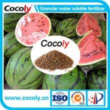 Cocoly Granular Water Soluble Fertilizer+TE