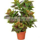 Make Interior Artificial Pineapple Tree