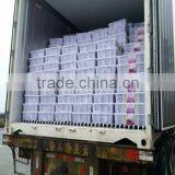 Seaweed Laminaria,kelp Seaweed,fresh Knotted Salted Kelp thumbnail-6