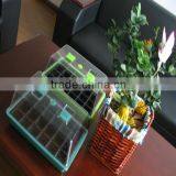 Bonsai Seed Kit thumbnail-1