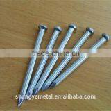 Common Nails Wire Nail thumbnail-3