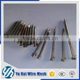 2 Inch Concrete Common Nails