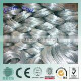 Galvanized Iron Wires/steel Wire thumbnail-1