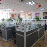 Shijiazhuang Excellence Import & Export Co., Ltd. company overview - view 3 thumbnail
