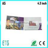 Arabic Vidoe Greeting Card for Advertising and Promotional Video Card thumbnail-4