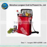 LW Cooler Bag for Frozen Food
