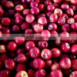 Tianshui Jiawei organic huaniu apple fresh fruit