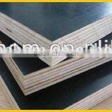 CONSTRUCTION PLYWOOD/FILM FACED PLYWOOD thumbnail-1