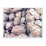 Galvanized Gaboin Box( Manufacturer) thumbnail-1