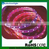 IP65 Led Smd5050 Dmx512 Control Waterproof Led Strip Lighting of Rainbow Color thumbnail-1