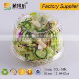 Wholesale PET Plastic Ventilated Packing Box for Fruit and Vegetable thumbnail-5