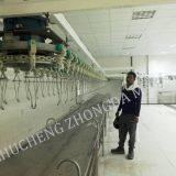 Poultry Slaughter Machine Line -UAE Project thumbnail-3