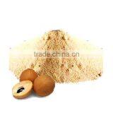 Spray Dried Chikoo Powder Fruit Powder