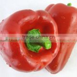 Bell Pepper/Color pepper