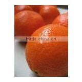 Fresh Oranges , Fresh Fruit and Fresh Oranges Citrus Sweet Mandarin Orange , thumbnail-2