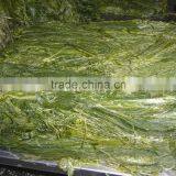 Frozen Wakame Stem Cut Salted thumbnail-2
