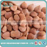 Premium Raw Bitter Apricot Kernels Similar to Califonia Almonds Bulk From China thumbnail-2