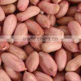 Groundnut Kernels/peanuts Kernels thumbnail-3