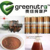 Pine Bark Extract
