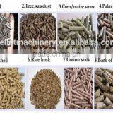 Oak Wood Sawdust Pellet Press Machine thumbnail-3