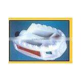 Plastic Pedals thumbnail-1