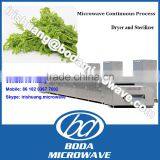 Moringa Leaves Microwave Dryer thumbnail-1